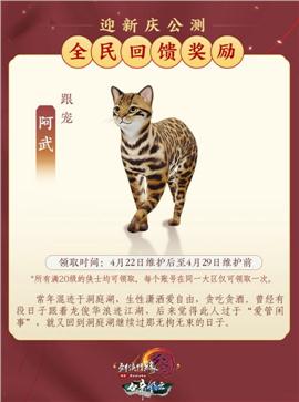 天龙八部私服被盗